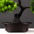 Bonsái de Pino Artificial — Decoración Zen 🌲